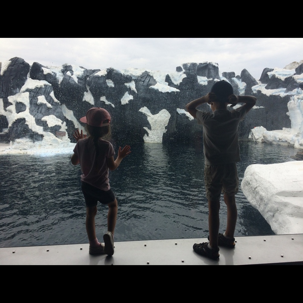 Meet your Posher, RedeemedtoLove